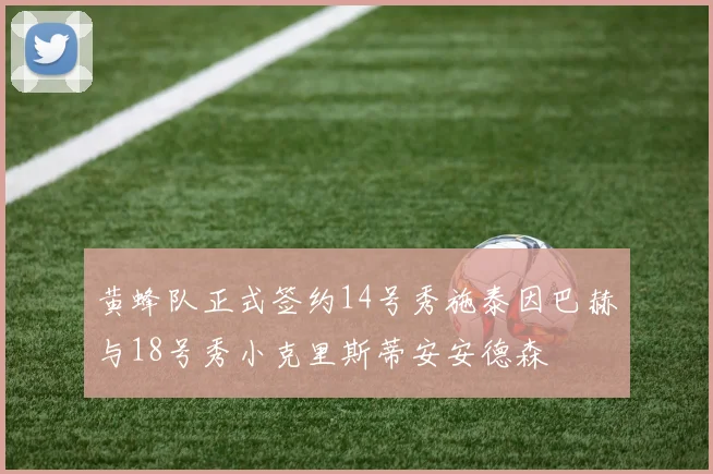 黄蜂队正式签约14号秀施泰因巴赫与18号秀小克里斯蒂安安德森
