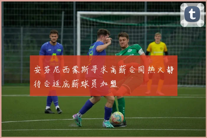 安芬尼西蒙斯寻求高薪合同热火静待合适底薪球员加盟