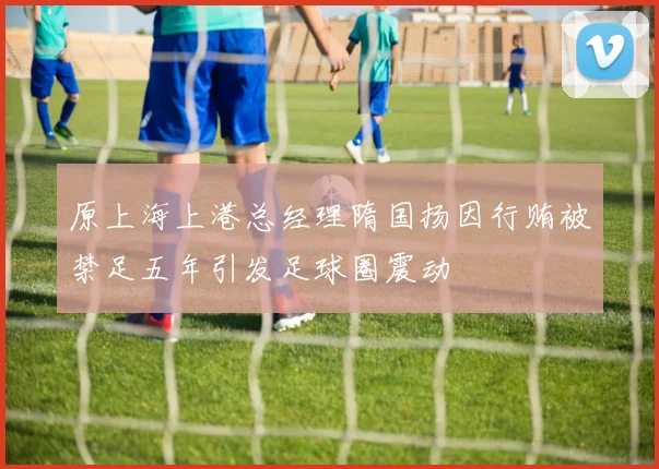 原上海上港总经理隋国扬因行贿被禁足五年引发足球圈震动