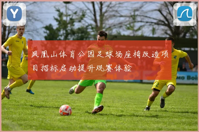 凤凰山体育公园足球场座椅改造项目招标启动提升观赛体验