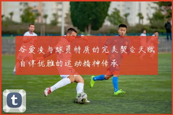 谷爱凌与球员特质的完美契合天赋自律优雅的运动精神传承